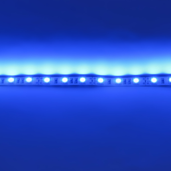 Светодиодная лента  Standart PRO class, 5050, 60led/m, Blue, 12V, IP20
