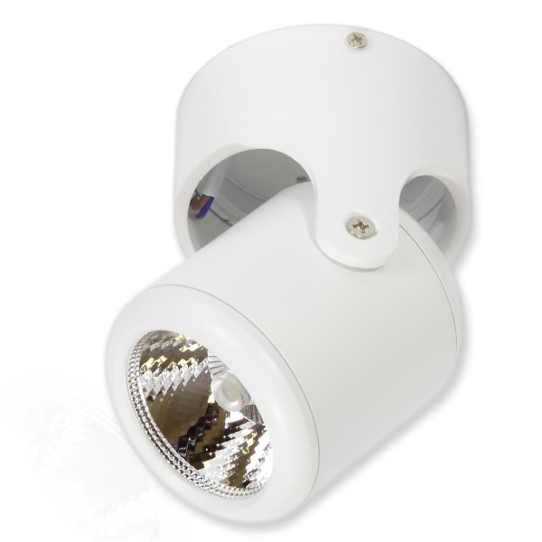 Светодиодный светильник JH-BTH-05 White V162 (10W, 220V, white)