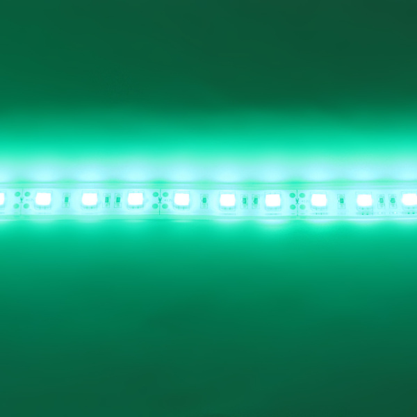 Светодиодная лента Standart PRO class, 5050, 60led/m, Green, 12V, IP68
