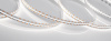 Лента MICROLED-5000-2110-700-24V Day5000 (10mm, 10W, IP20) (Arlight, -)