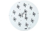 Плата D120-12E 4R-4G-4B Emitter (12x LED, 724-28) (Turlens, -)