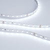 Лента RT 2-5000 24V White5500 (2835, 80 LED/m, LUX) (Arlight, 6 Вт/м, IP20)