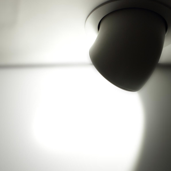 Светодиодный светильник поворотный RW COB GM9 (30W, white)