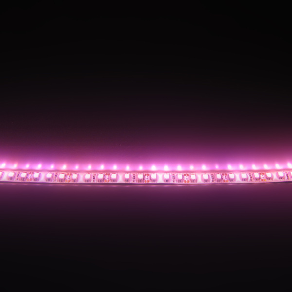Светодиодная лента Class B, 3528, 120 led/m, Purple, 12V, IP65