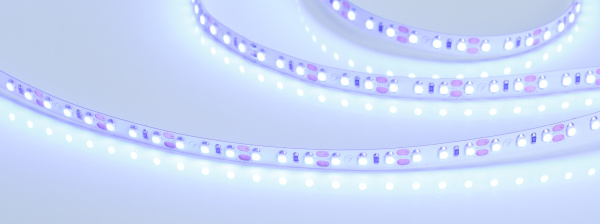 Лента RT 2-5000 12V Blue 2x (3528, 600 LED, LUX) (Arlight, 9.6 Вт/м, IP20)