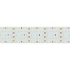 Лента S2-2500 24V White 6000K 52mm (2835, 420 LED/m, LUX) (Arlight, 30 Вт/м, IP20)