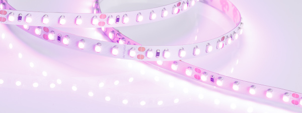 Лента RT 2-5000 24V Pink 2x (3528, 600 LED, LUX) (Arlight, 9.6 Вт/м, IP20)