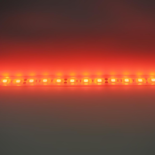 Светодиодная лента Standart PRO class, 5050, 60led/m, Red, 12V, IP68