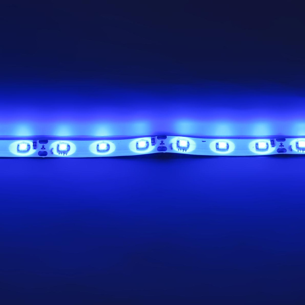 Светодиодная лента Standart class, 3528, 60led/m, Blue, 12V, IP65