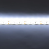 Светодиодная лента Standart PRO class, 5050, 60led/m, White, 12V, D34, IP65