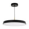 Светильник SP-ELEGANT-R500-37W Warm3000 (BK, 120 deg, 230V) (Arlight, IP20 Металл, 3 года)