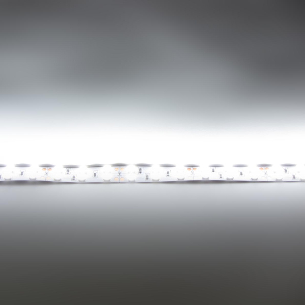 Светодиодная лента LUX class, 5050, 120 led/m, White, 24V, IP20