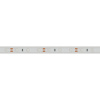 Лента RTW 2-5000P 12V Blue (3528, 300 LED, LUX) (Arlight, 4.8 Вт/м, IP66)