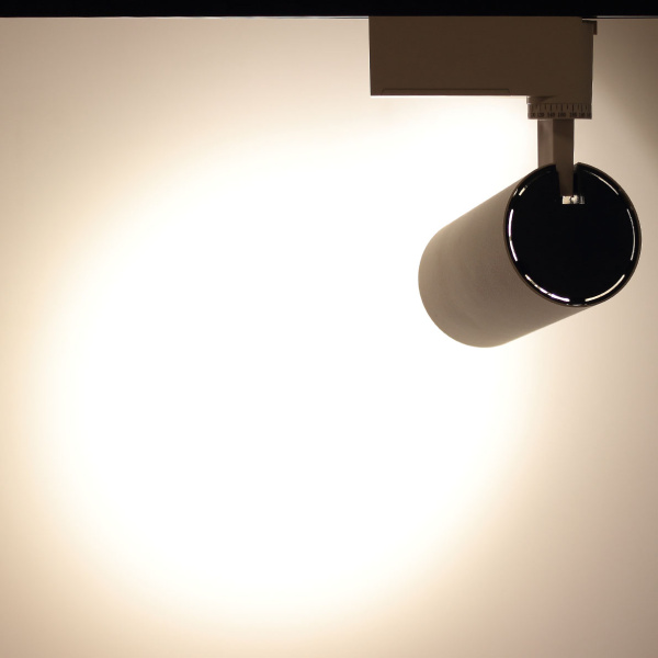 Светодиодный светильник трековый JH-GDD-A08-20W 2L PX88 (20W, 220V, day white)