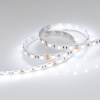 Лента RT 2-5000 12V White5500 2x (5060, 300 LED, LUX) (Arlight, 14.4 Вт/м, IP20)