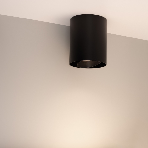 Светильник SP-FOCUS-R132-24W Day4000 (BK, 24 deg, 230V) (Arlight, IP54 Металл, 5 лет)