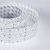 Лента S2-2500 24V White 6000K 52mm (2835, 420 LED/m, LUX) (Arlight, 30 Вт/м, IP20)