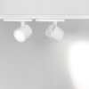 Светильник LGD-NIKA-4TR-R100-20W Day4000 (WH, 24 deg, 230V) (Arlight, IP20 Металл, 5 лет)