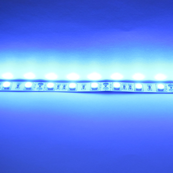 Светодиодная лента Standart class, 5050, 60led/m, Blue, 12V, IP20