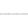 Лента RS 2-5000 12V Day5000 (3014, 60 LED/m, LUX) (Arlight, 4.8 Вт/м, IP20)