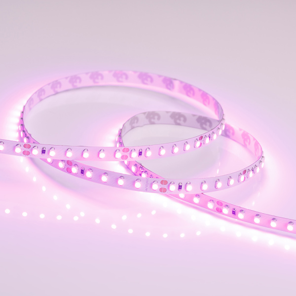 Лента RT 2-5000 24V Pink 2x (3528, 600 LED, LUX) (Arlight, 9.6 Вт/м, IP20)