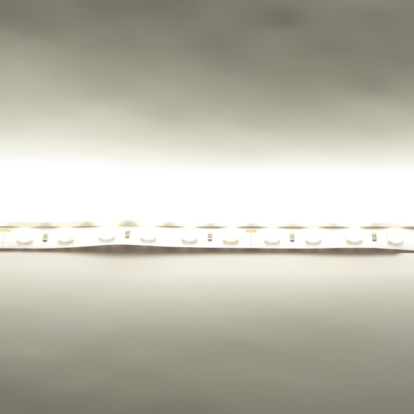 Светодиодная лента LUX class , 5050, 72 led/m, Warm White, 24V, IP20