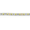 Светодиодная лента  Standart PRO class, 5050, 60led/m, day white, 12V, B150, IP20