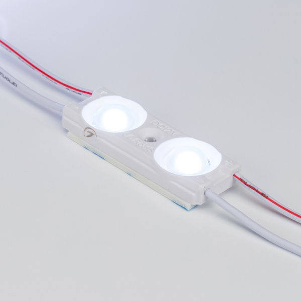 Модуль герметичный ARL-ORION-R10-12V Cool (2835, 2 LED) (Arlight, Закрытый)