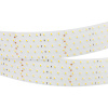 Лента RT 2-2500 24V Cool 8K 5x2 (2835, 875 LED, LUX) (Arlight, 36 Вт/м, IP20)
