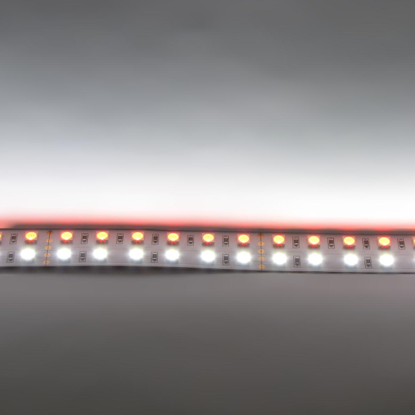 Светодиодная лента Standart PRO class, 5050, 144 led/m, RGBW, 24V, IP20