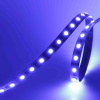 Светодиодная лента LUX class, 5050 (4 chips), 60 led/m, RGBDW, 12V, IP20, P157