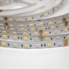 Светодиодная лента Class Premium 3838 72 led/m, RGB+CCT (RGB+white/ warm white), 12V, IP20, А41