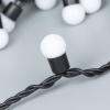 Светодиодная гирлянда ARD-BALL-PRO-D17.5-10000-BLACK-100LED RGB (230V, 7W) (Ardecoled, IP65)