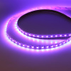 Светодиодная лента LUX class, 5050 (4 chips), 60 led/m, RGBW, 24V, IP20, P151