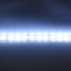 Светодиодная лента LUX class, 5050, 60 led/m, Cool White,24V,P622, IP68