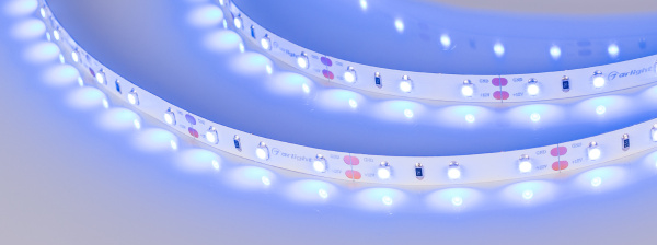 Лента RT 2-5000 12V Blue (3528, 300 LED, LUX) (Arlight, 4.8 Вт/м, IP20)
