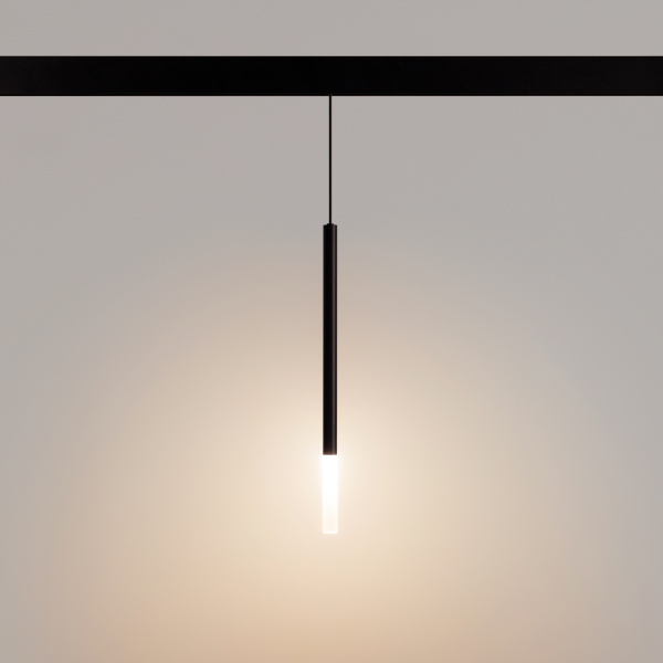 Светильник MAG-ORIENT-STICK-HANG-R20-6W Warm3000 (BK, 180 deg, 48V) (Arlight, IP20 Металл, 5 лет)