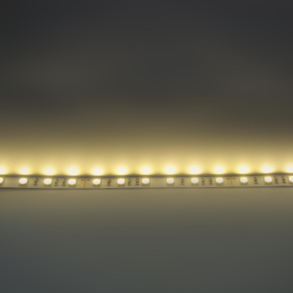 Светодиодная лента  Standart PRO class, 5050, 60led/m, Warm White, 24V, IP20