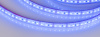Лента RTW 2-5000PGS 12V Blue 2x (3528, 600 LED) (Arlight, 9.6 Вт/м, IP67)