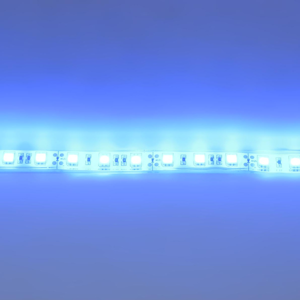 Светодиодная лента Standart PRO class, 5050, 60led/m, Blue, 12V, IP68