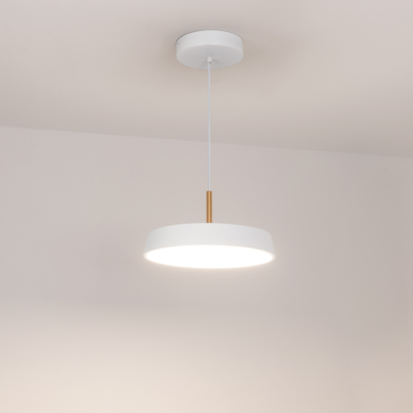 Светильник SP-ELEGANT-R300-17W Day4000 (WH, 120 deg, 230V) (Arlight, IP20 Металл, 3 года)