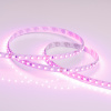 Лента RT 2-5000 24V Pink 2x (3528, 600 LED, LUX) (Arlight, 9.6 Вт/м, IP20)