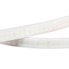 Лента RTW 2-5000PW 24V White6000 2x2 (3528, 1200 LED, LUX) (Arlight, 19.2 Вт/м, IP66)