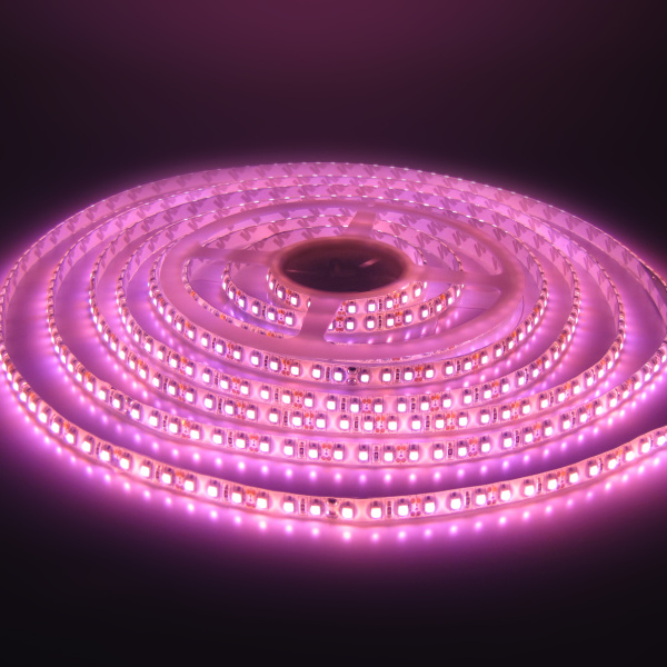 Светодиодная лента Class B, 3528, 120 led/m, Purple, 12V, IP65