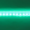 Светодиодная лента Standart PRO class, 5050, 60led/m, Green, 12V, IP68