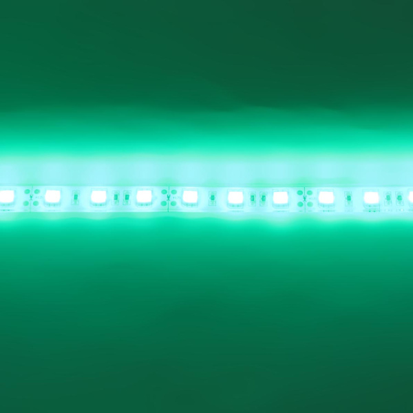 Светодиодная лента Standart PRO class, 5050, 60led/m, Green, 12V, IP68