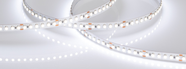 Лента RT6-3528-180 24V White6000 3x (900 LED) (Arlight, 14.4 Вт/м, IP20)