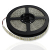 Светодиодная лента Standart PRO class, 3528, 240 led/m, Warm White, 24V, IP65