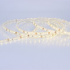Светодиодная лента LUX class 2835 60led/m, warm white, 12V, IP68, N51