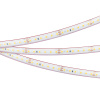 Лента герметичная RTW-PS-A120-10mm 24V Day4000 (9.6 W/m, IP67, 2835, 5m) (Arlight, 9.6 Вт/м, IP67)